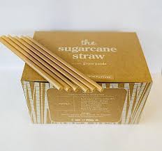 LGP - 500 Sugar Cane Straws 21cm (6mm)